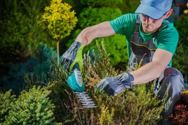 landscaping services Kimball